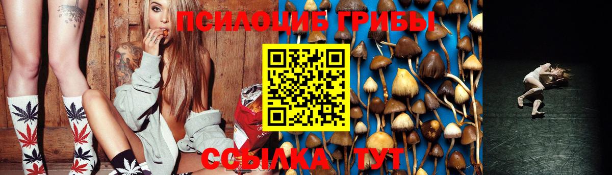 Псилоцибиновые грибы прущие грибы Димитровград
