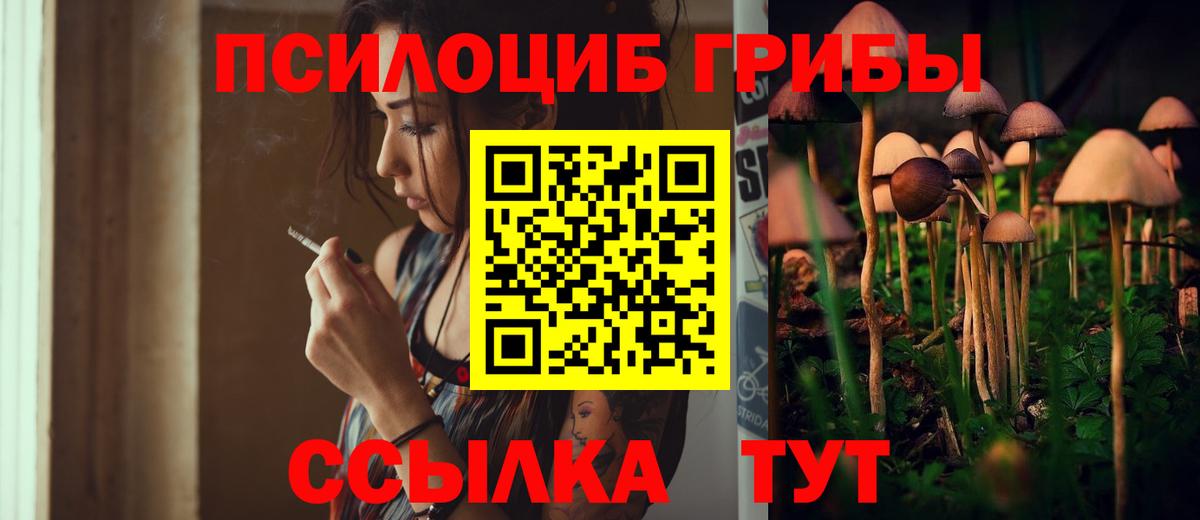 Димитровград  Псилоцибиновые грибы Psilocybine cubensis  Вход с VPN 